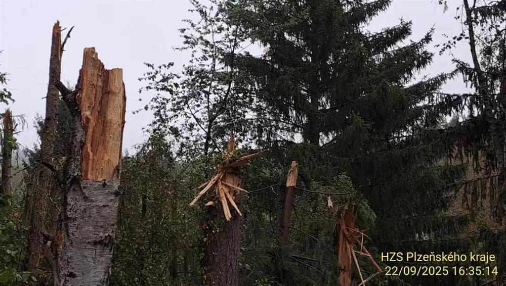 Zachycení ulomených strojů po nehodě do lesa (Zdroj: HZS)