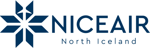 Logo Niceair