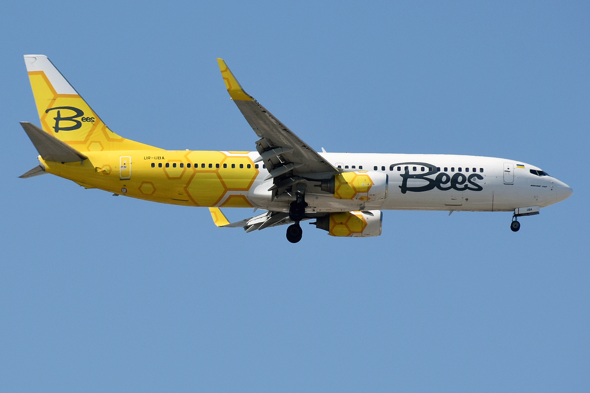 Boeing 737 sympatické společnosti Bees Airline