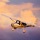 První prodaná Cessna Skycatcher