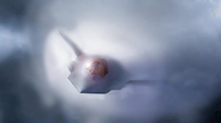 Boeing F-47: nový americký bojový letoun 6. generace odhalen – co zatím víme?